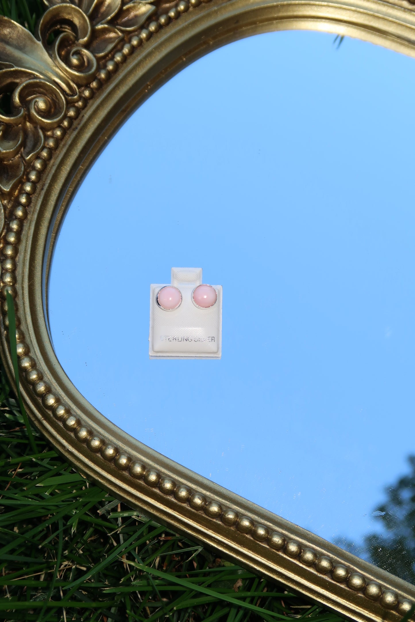 Pink Conch Studs