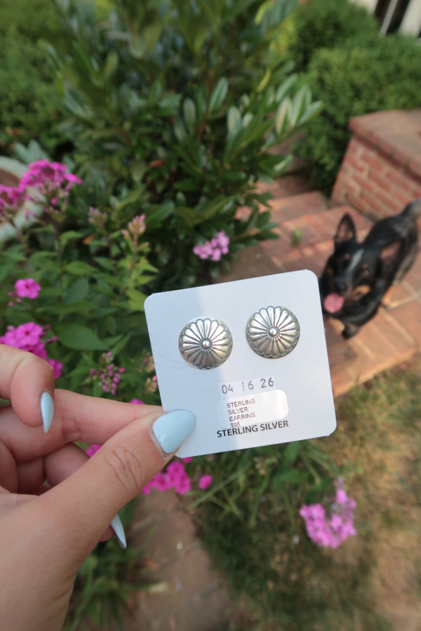 Sterling Silver Earrings
